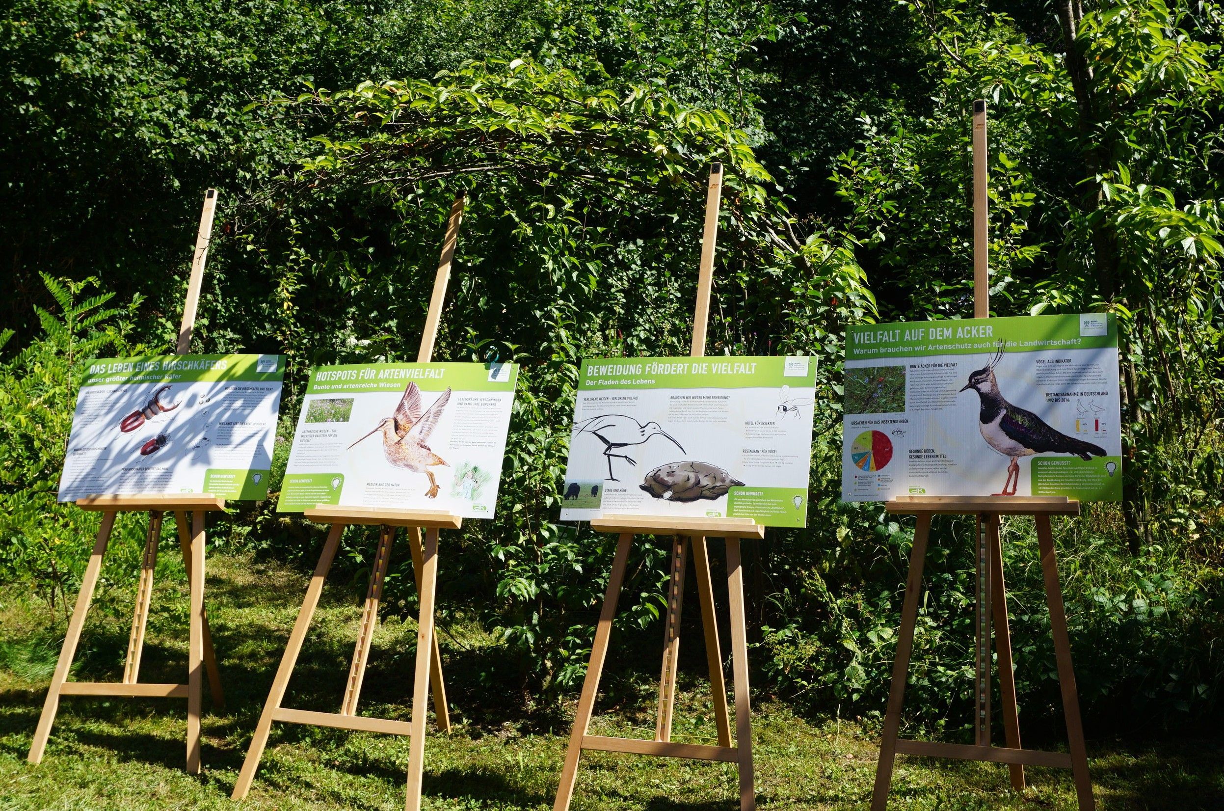 Ausstellung Artenvielfalt. Foto_Ch. Starostzik