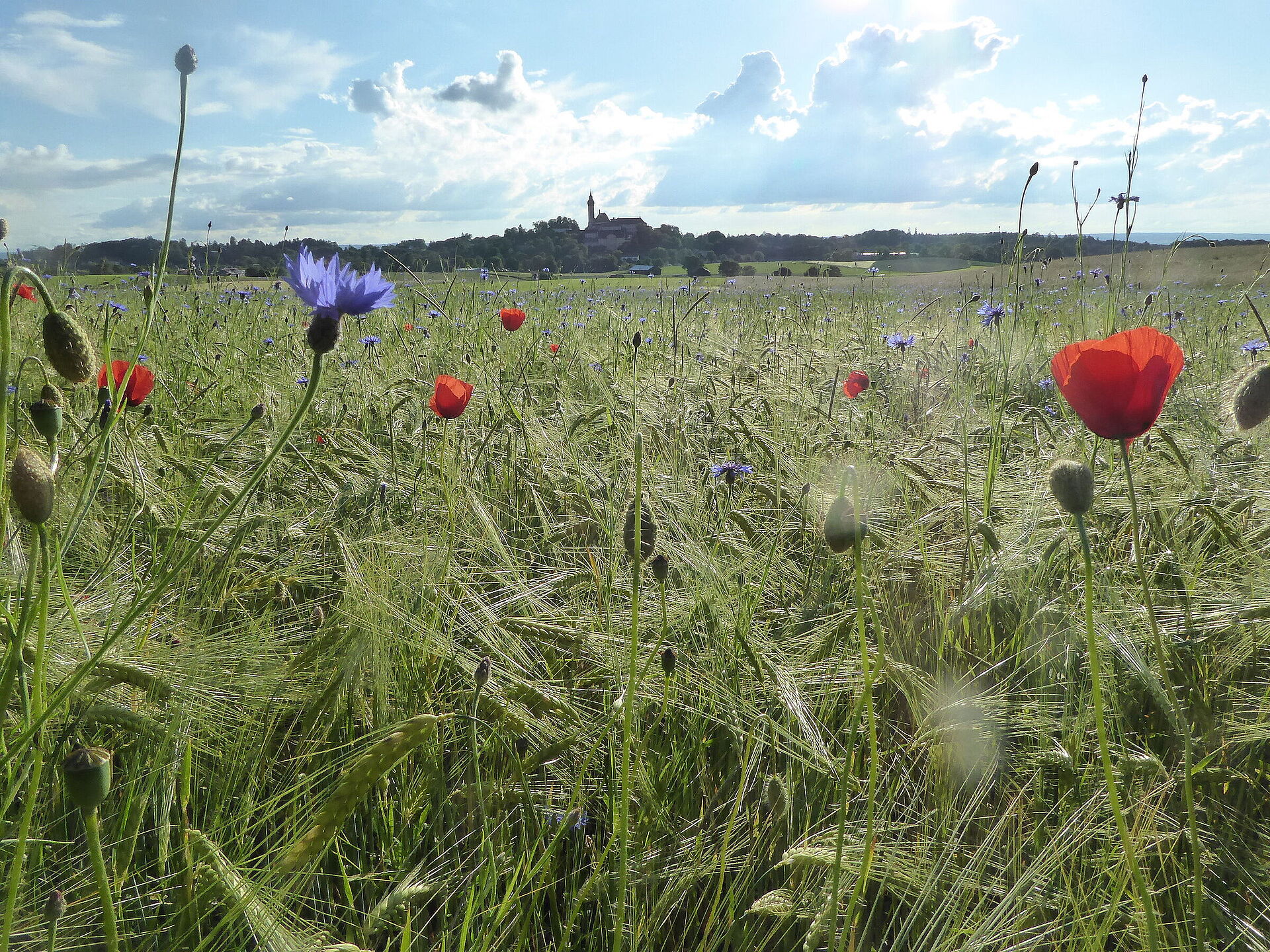 So wirkt die EU im Landkreis Starnberg Moränenlandschaft zwischen