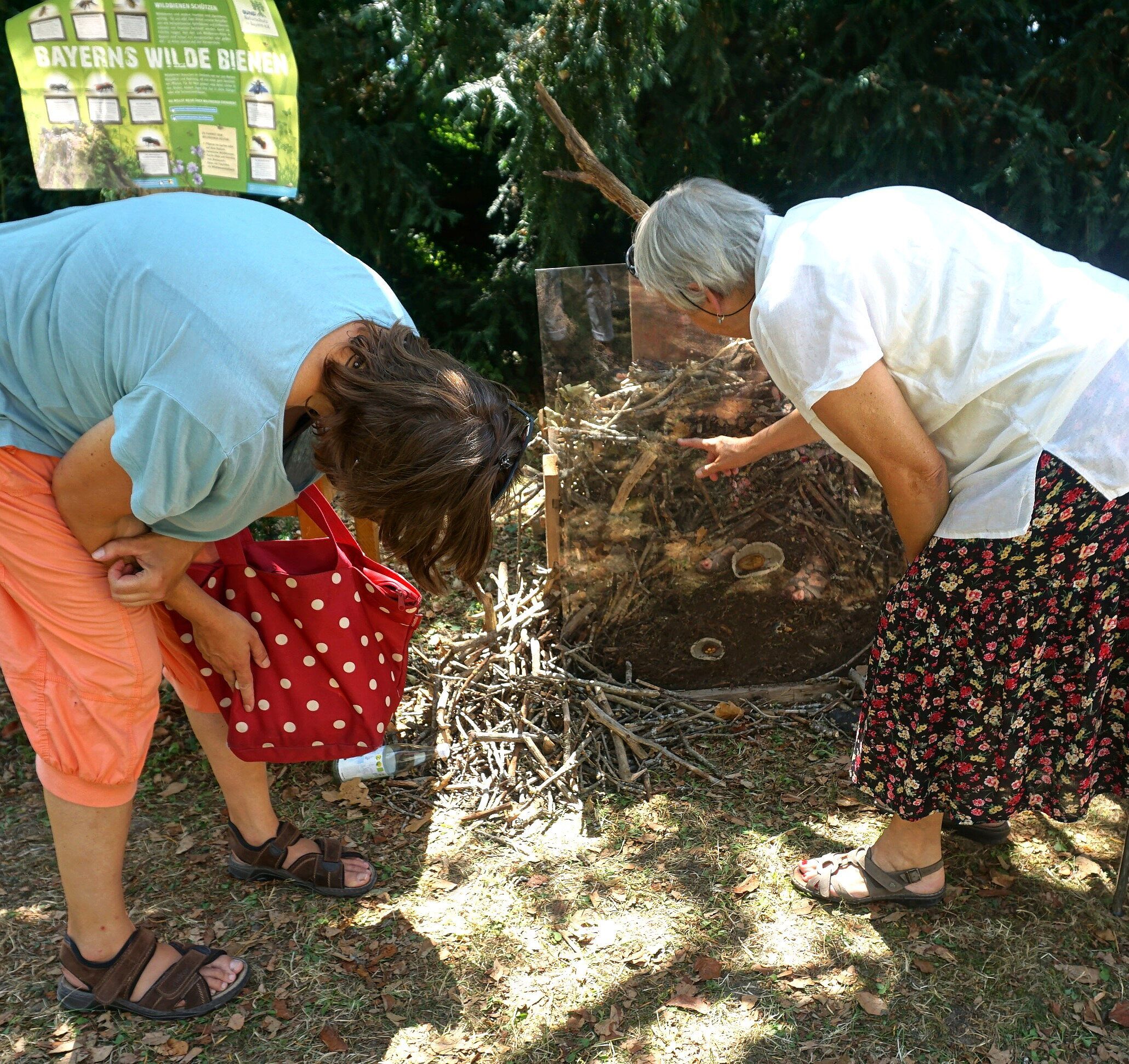 Fotos: Chr. Starostzik