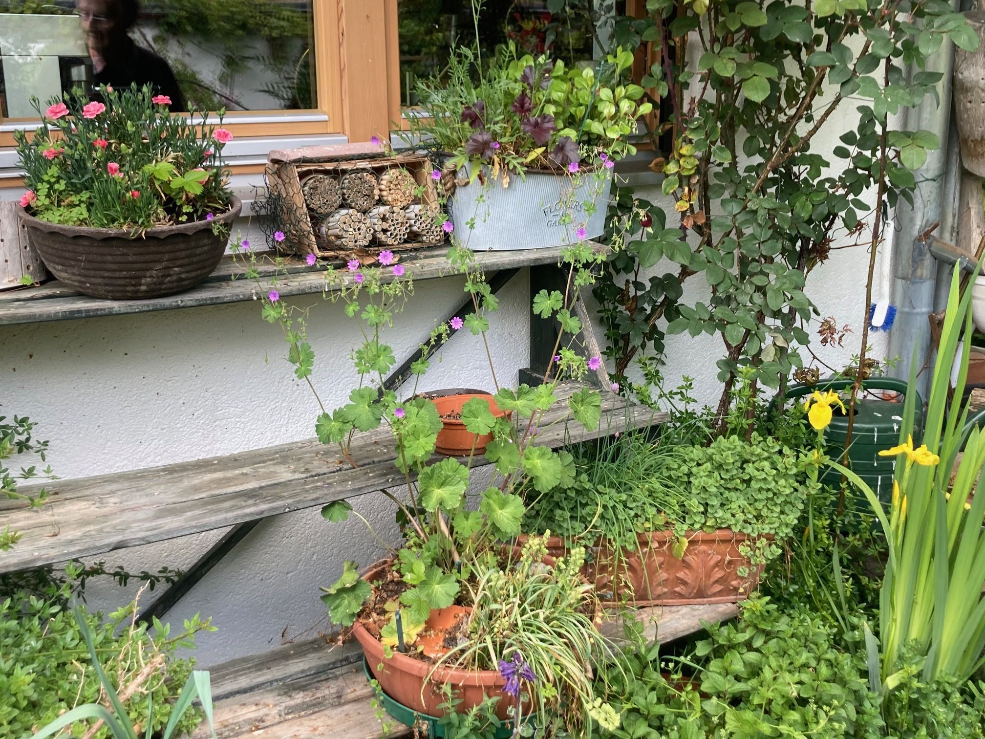 Behausung für die Maurerbiene