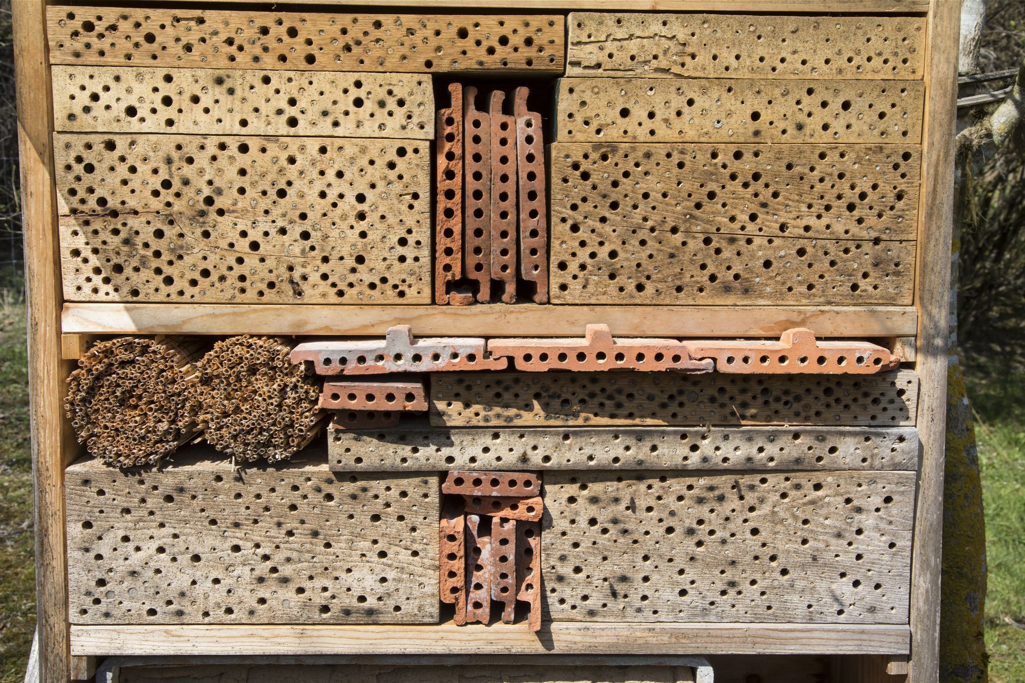 Bienenhotel, Foto von Marcus Bosch