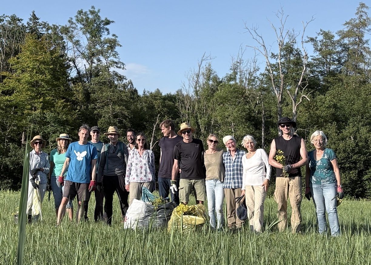 15 Menschen in Wiese