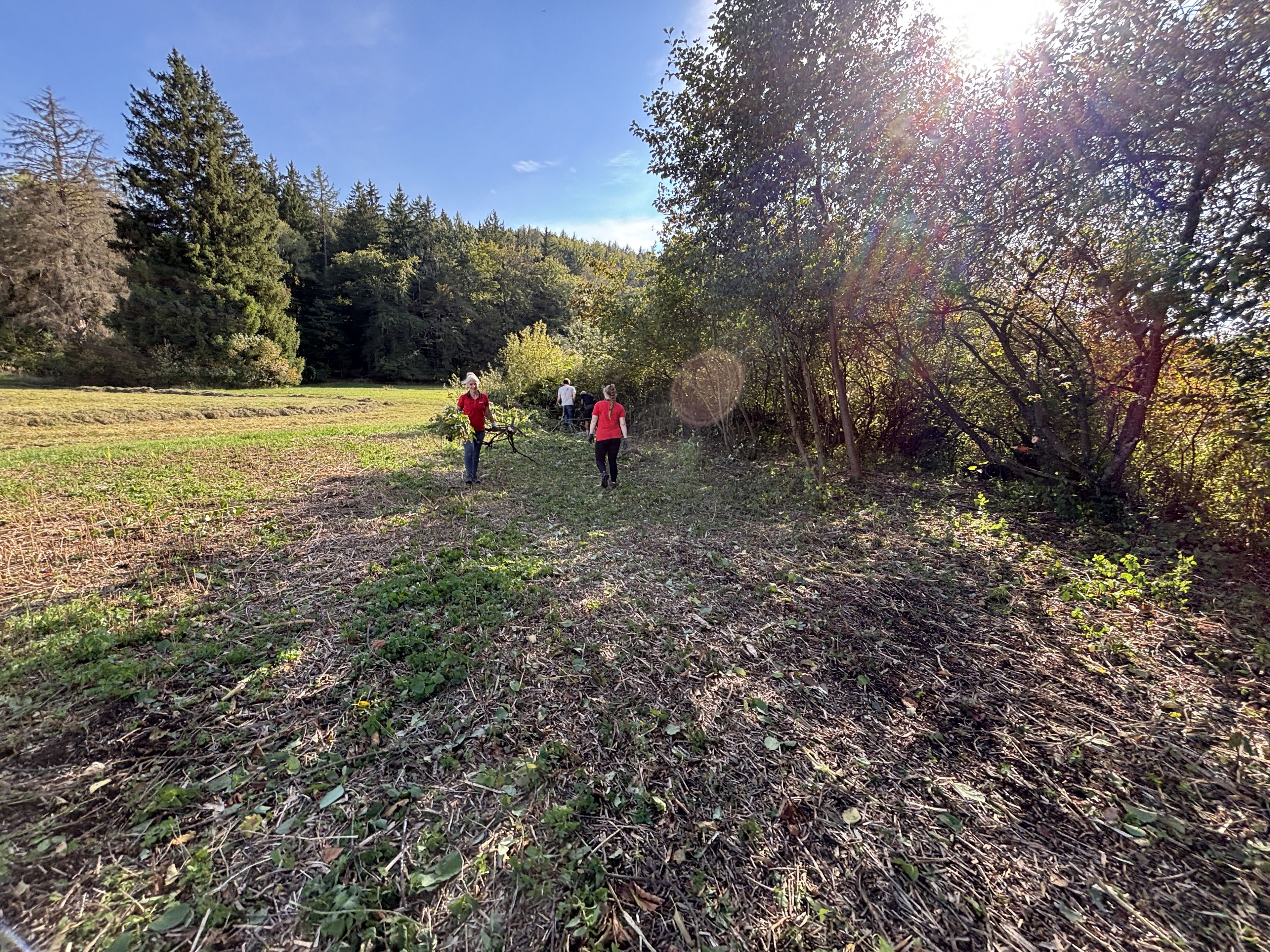 Zwei Menschen vor einer geschnittenen Naturhecke