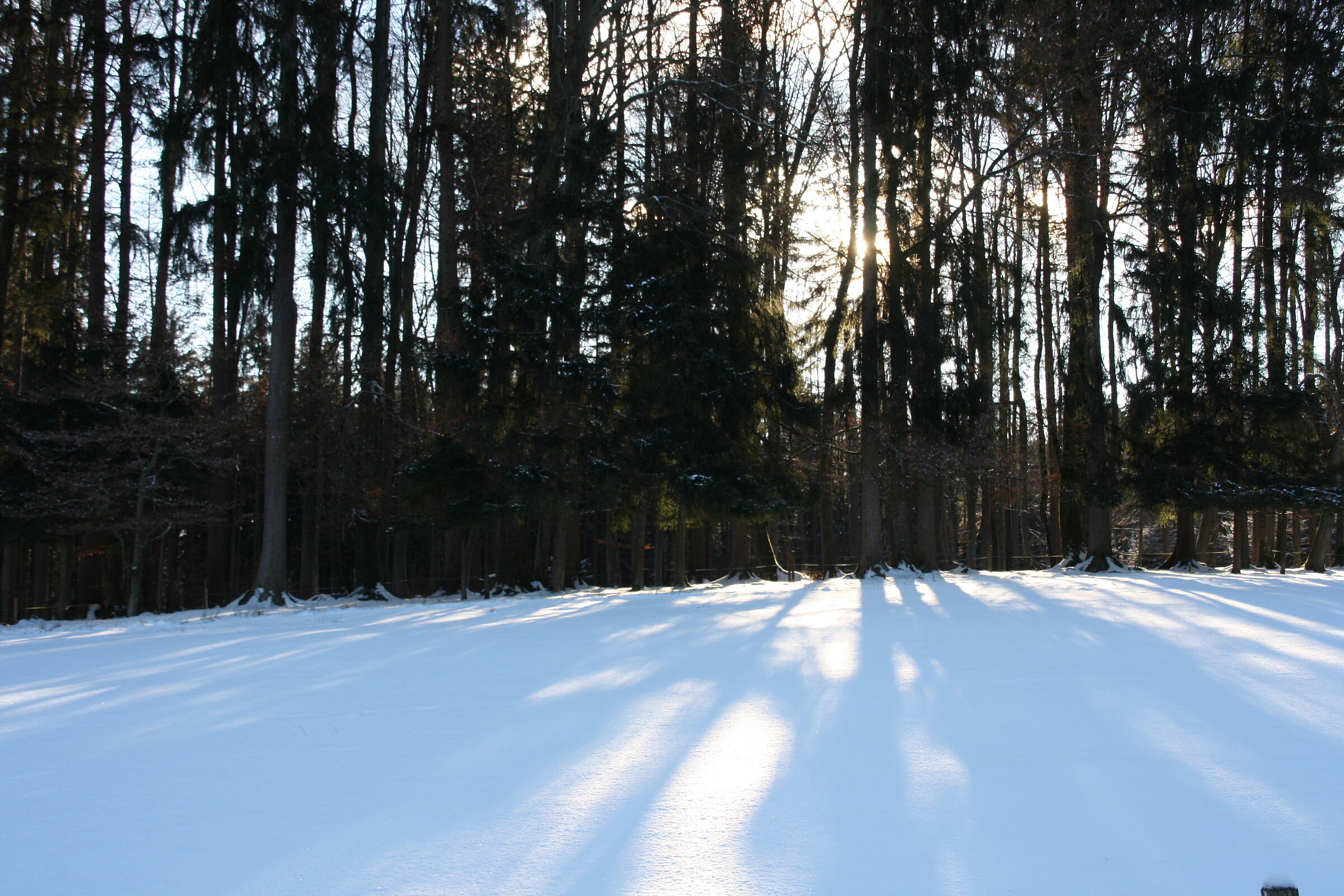 Schnee auf dem Weg zur Ilkahöhe